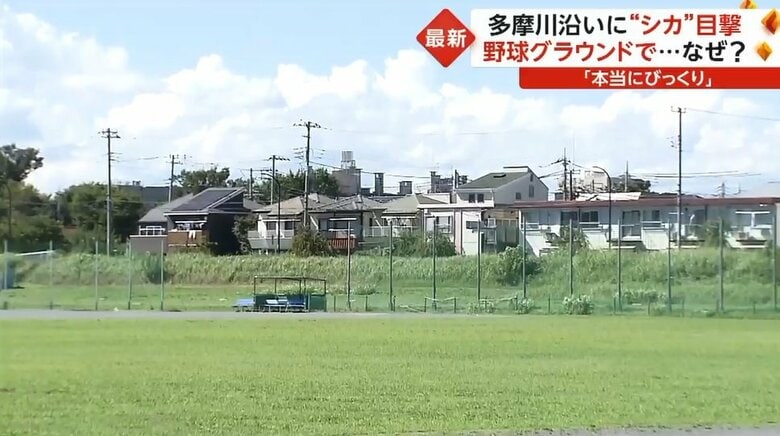 周囲には住宅地が広がっている