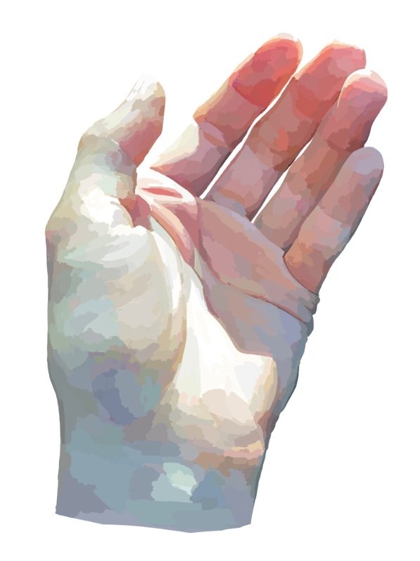 提供：ななさん