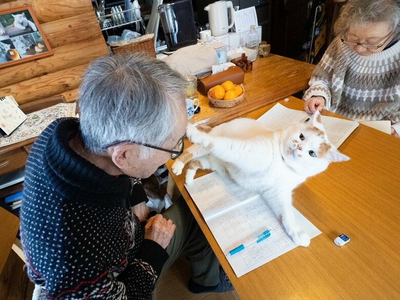 お父さんの邪魔をしてパンチ（提供：MARCOさん）