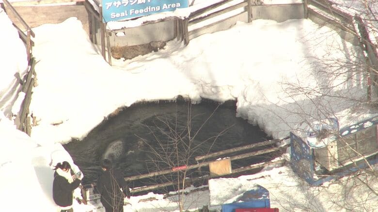 2月15日の園内の様子