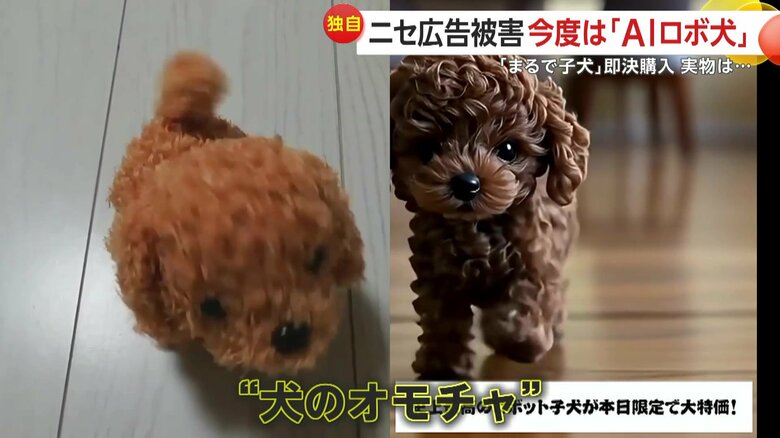 広告とは似ても似つかない犬のおもちゃが届いたという