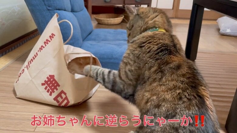 ゆずちゃんに“たじたじ”な、ざぼんくん