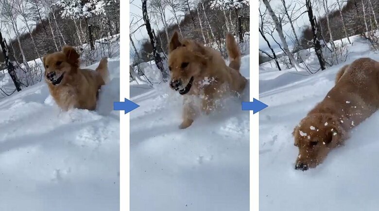 初めての雪遊び