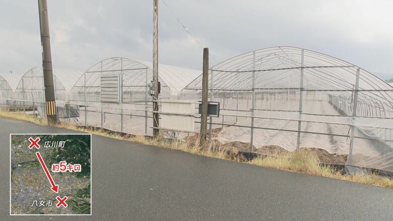 小林さんの農園から約5キロ離れた八女市立花町でも同様の被害が…