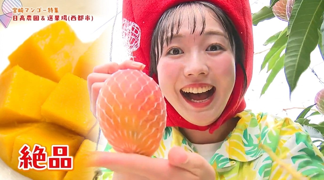 わずか15%の狭き門！最高級「太陽のタマゴ」笑顔になれる宮崎マンゴー