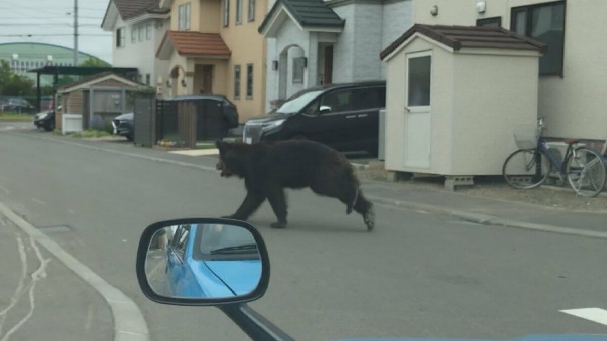 img_6fcc1b371a46f0ed958ee4ddc2