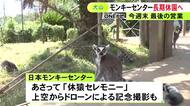 18日には休“猿”セレモニー…世界最多のサルを飼育する「日本モンキーセンター」リニューアルで長期休園へ