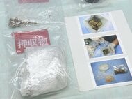 現金約850万円も押収…自宅で大麻を営利目的で所持か ベトナム人の男女2人を逮捕 男の不法残留の疑いで家宅捜索し発覚