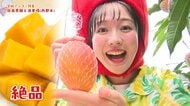 わずか15%の狭き門！最高級「太陽のタマゴ」笑顔になれる宮崎マンゴーの歴史と魅力