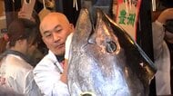 「すしざんまい」築地本店で過去最高5億1030万円の「一番マグロ」解体ショー　全国の店舗で順次提供へ