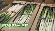 旬のブリは「かなり高い」　タマネギやジャガイモも高値続く見通し　キャベツやハクサイは値ごろに　県内各地で初セリ　福岡