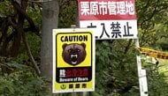 キノコ採りの女性がクマに襲われ死亡　別の女性も行方不明に　全国で相次ぐクマ被害　対策は？