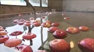 「大寒」の日限定　りんご風呂でポカポカ　わけあり「サンふじ」で心も体もあったまる　福島・大玉村