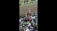 馬と人が衝突　4人がケガ　相馬野馬追で甲冑競馬中に放馬＜福島県・南相馬市＞