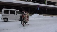 桜の下 “成人式”に参加しませんか? 大雪の福井市 式典欠席者相次ぎ4月に代替イベント
