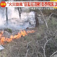 “火災旋風”住宅地に迫る山火事　炎に巻き込まれ10人死亡…トルコで熱波　気温40℃と強風で警戒続く