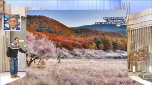 関東で“晩秋の絶景”が! 近畿では「木枯らし1号」…東京はいつ頃に?