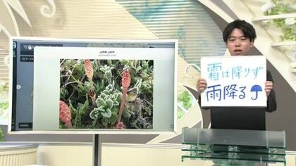 【エンドトーク】「霜は降りず雨降る」　きょうの1枚＆あすの天気のポイント　山形