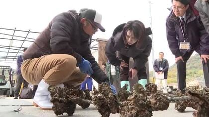 養殖カキ大量死　広島県の横田美香知事が生産現場視察「経営安定に向けしっかりと対策打つ」江田島市・呉市