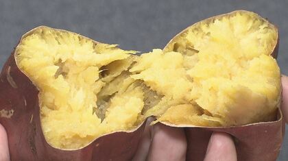 「冷やし焼き芋」に「冷製カレー」…暑い夏に“冷やしグルメ”はいかが【長野発】