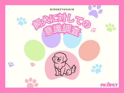 もっとも犬を飼っている年代は?おやつはどのくらいの頻度で与えている?犬の疑問を独自調査!