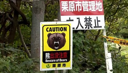 キノコ採りの女性がクマに襲われ死亡　別の女性も行方不明に　全国で相次ぐクマ被害　対策は？
