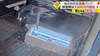 【被害額3300万】エルメス高級バッグ8個強奪　ショーウィンドウをハンマー10回振り下ろし破壊　午前4時前の犯行　NY