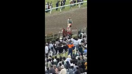 馬と人が衝突　4人がケガ　相馬野馬追で甲冑競馬中に放馬＜福島県・南相馬市＞