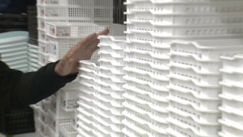 中東情勢で100円ショップ価格高騰の恐れ　商品の7～8割がプラスチック製　「このままだと100円で売れなくなる」