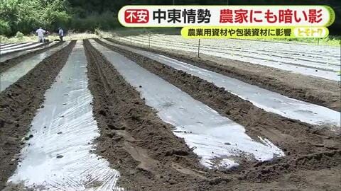中東情勢は農家にも暗い影　農業用資材や包装資材に影響　米袋が…マルチシートが…　品薄に加え仕入れ価格で数十パーセントの値上がりは当たり前