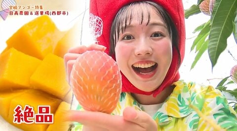 わずか15%の狭き門！最高級「太陽のタマゴ」笑顔になれる宮崎マンゴーの歴史と魅力