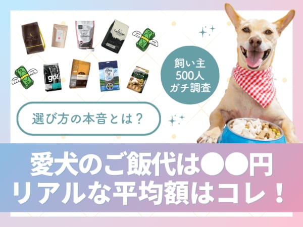 飼い主500人に調査】愛犬のご飯代、最多は月5,000円台。サイズ別・理想