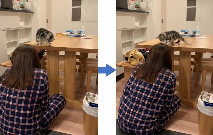 タッチするべき?どうしよう?とわちゃわちゃ