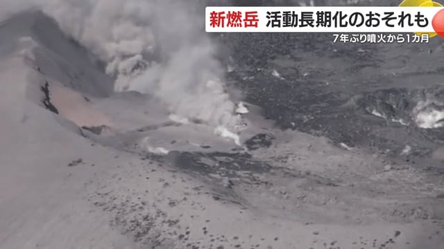 井村准教授「下から上がってきたものが“出口”を探している」
