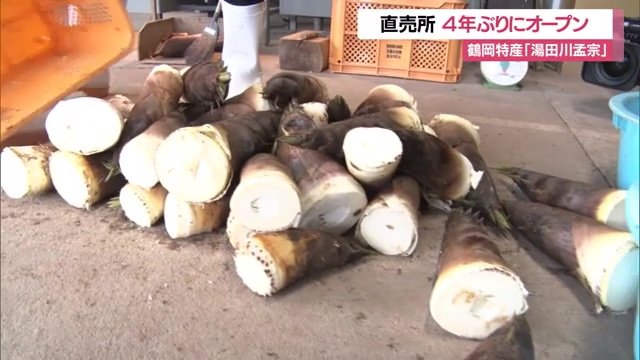 収穫のピークは5月上旬