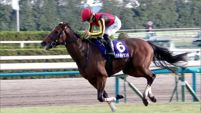 2023年の3冠牝馬リバティアイランド