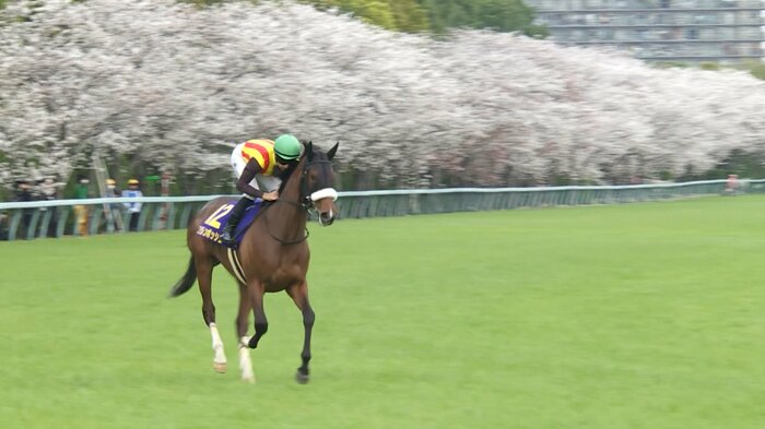 桜花賞を制したステレンボッシュ
