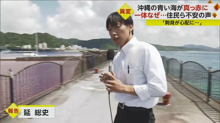 左側が漁港。左右で海の色が違うのがわかる