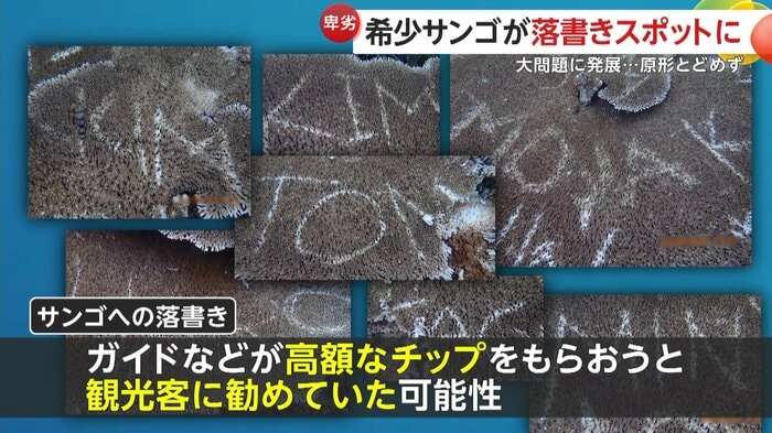 チップ欲しさに観光客に勧めた可能性もあると指摘
