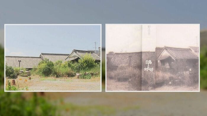 ニュースONE