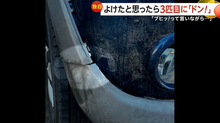 ひび割れたバンパー（視聴者撮影）