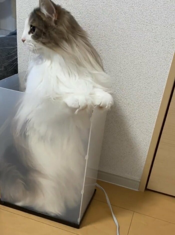 周囲を確認
