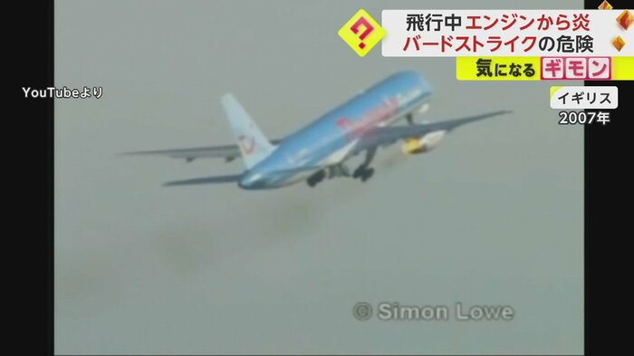 バードストライクによって断続的に火を噴き出しながら飛ぶ航空機