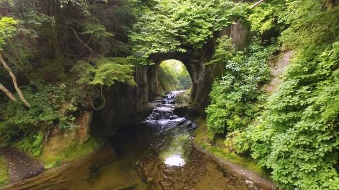 “ホタルの里”に夏がやって来た 自然と人が織りなす奇跡の風景