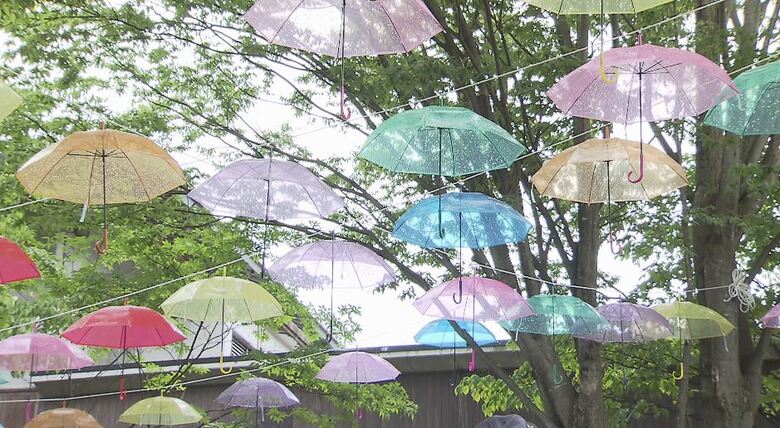 梅雨空を明るく！色とりどりの傘で「アンブレラスカイ」　限定メニュー「紫陽花ドリンク」も｜FNNプライムオンライン