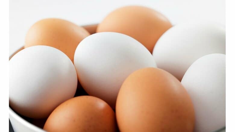 「白い卵」と「茶色い卵」は何が違う？価格差があることも…日本卵業協会に理由を聞いた｜FNNプライムオンライン