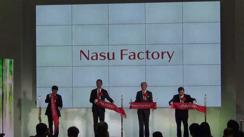 「MADE IN JAPAN」が最大の武器！ 36年ぶり国内工場新設した資生堂の世界戦略とは｜FNNプライムオンライン