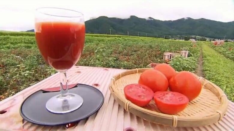 「かつては日本一の産地・長野が」ジュース用トマトの栽培面積がピーク時の20分の1以下に…高齢化や異常気象で生産者が激減　JAなどが生産拡大に向け本腰｜FNNプライムオンライン