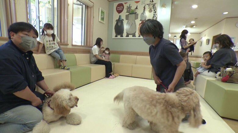 診療室”に笑顔を…小さな存在が大きな安心に「セラピードッグ」子供の不安な心に寄り添い診療をサポート【鳥取発】|FNNプライムオンライン