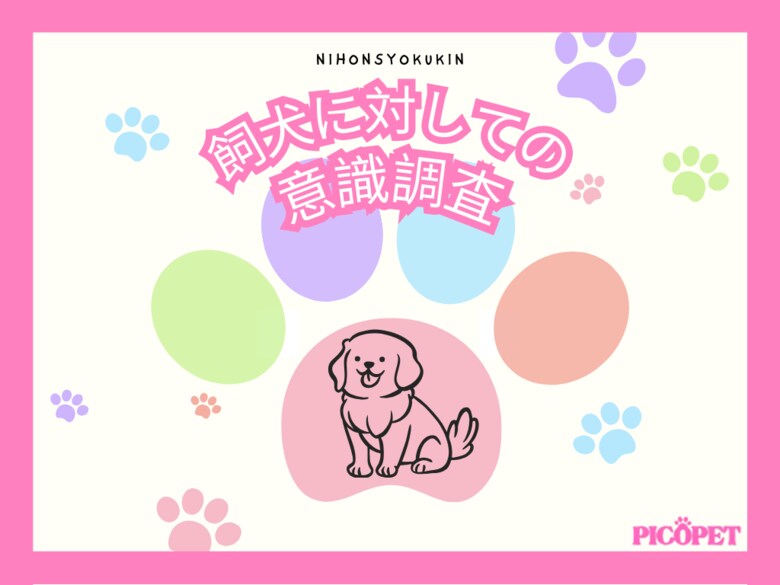 もっとも犬を飼っている年代は?おやつはどのくらいの頻度で与えている?犬の疑問を独自調査!